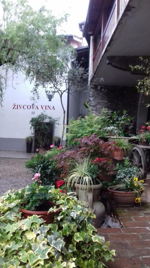 Apartmaji Pri Zivcovih Dutovlje Dış mekan fotoğraf