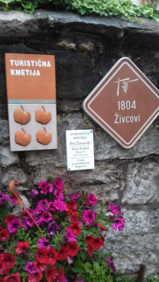 Apartmaji Pri Zivcovih Dutovlje Dış mekan fotoğraf